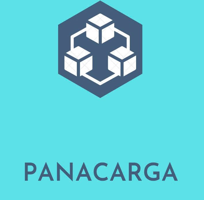 panacarga.bestfreightllc.com